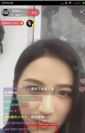 与凤行世界观